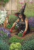 everyday witchs oracle garden
