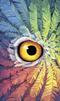 Tarot of the owls baksida