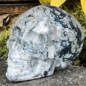 Mossagat Kristallskalle Kani naturapotek