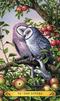 Tarot of the owls - The Lovers