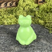 Liten tvål groda Terra Midi