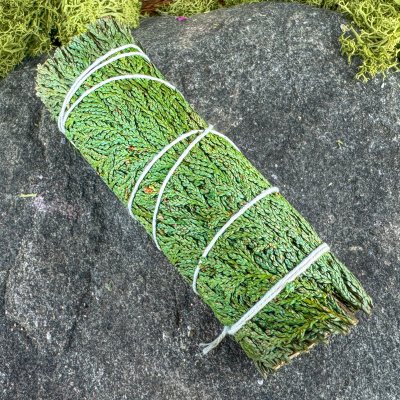 Ceder stock 10 cm rökelse smudge