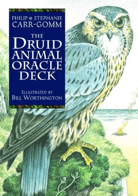 Druid Animal Kortlek med bok